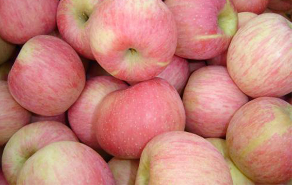 苏州水果批发浅谈多吃苹果对于人体有什么好处